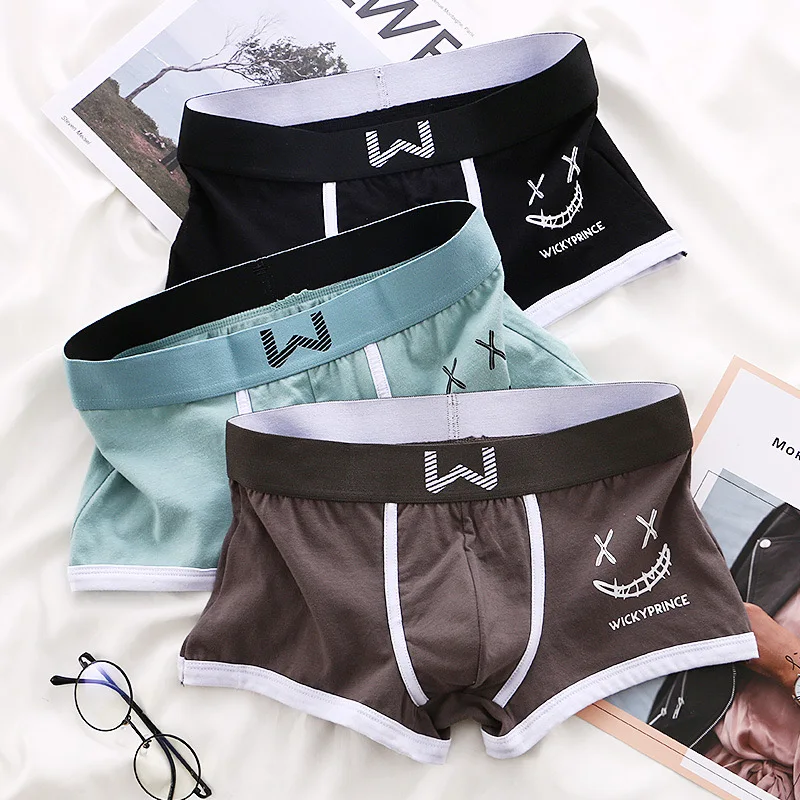 3pcs Mens Underwear Man Underpants Cotton Boxer Shorts Men Panties Boxer Underwear for Male U-Convex Sexy Comfort Boxers
