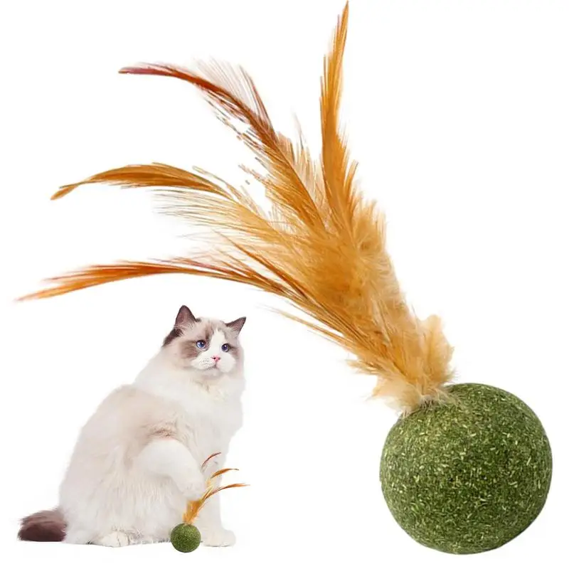 Giocattoli Per Gatti Catnip Kitten Catnip Feather Ball Interactive Natural Lollipop Natural Cat Kicker Feathers Design Pulizia Dei Denti Di Gatto