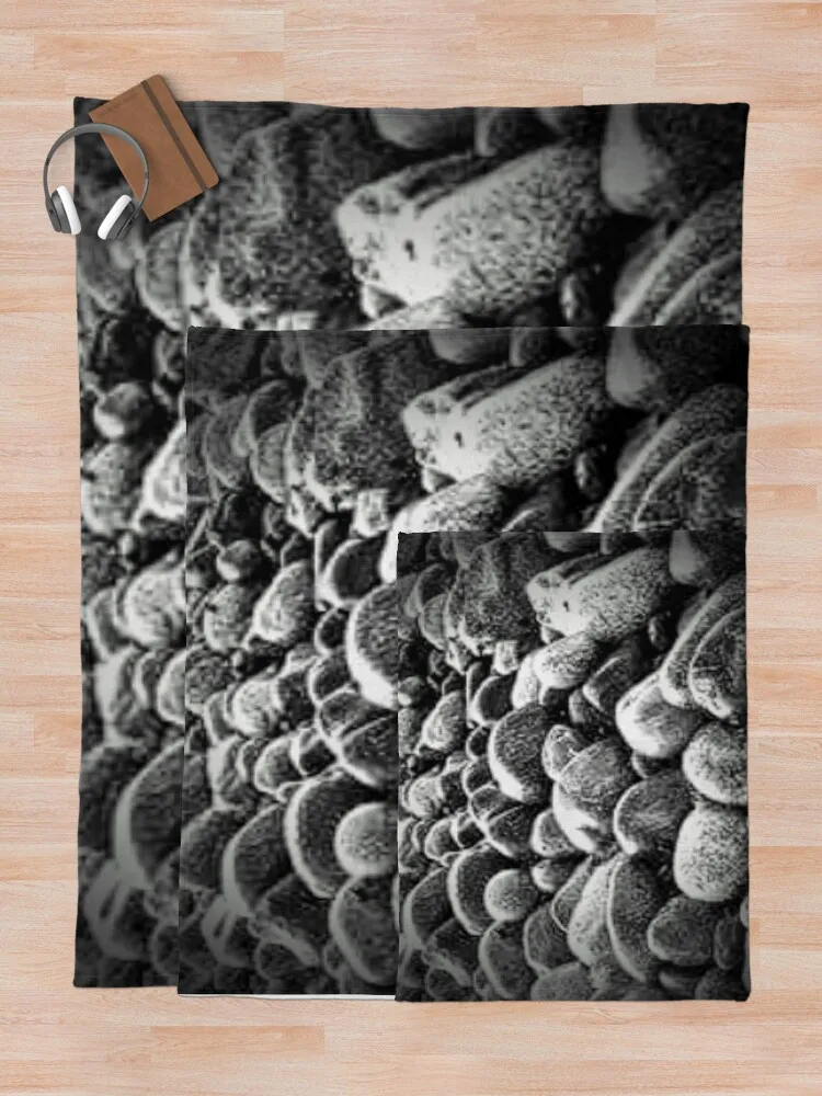 ���� ������ ���, ����, �߷�Ÿ�� ����, ���̵�� ���