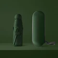 Dark green with box
