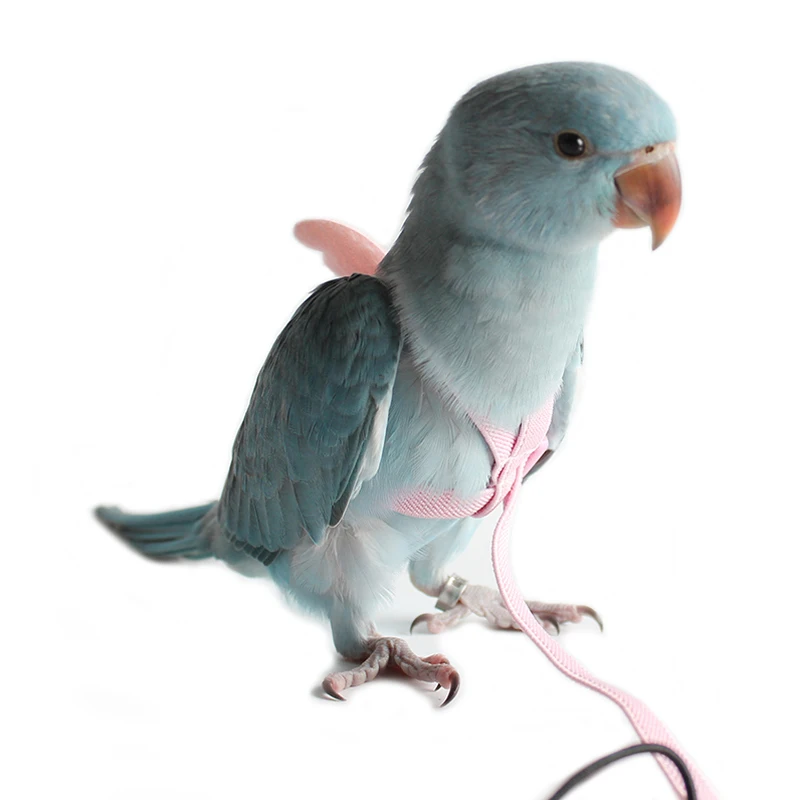 Эластичная шлейка для животных леска попугаев мелких средних и больших птиц Ара
