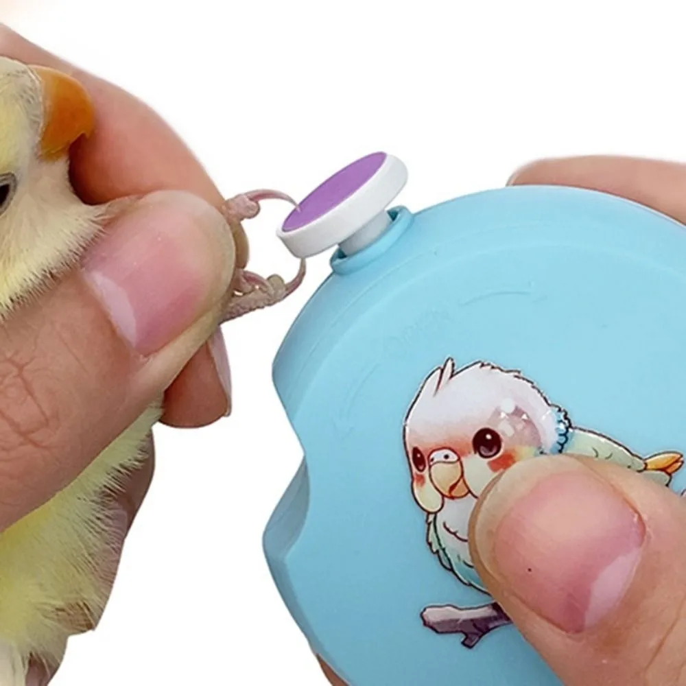 Low Noise Electric Parrot Nail Trimmer Round with 6 Grinding Heads Bird Nail Cutter Mini Parrot Beak Grinder Bird Paw