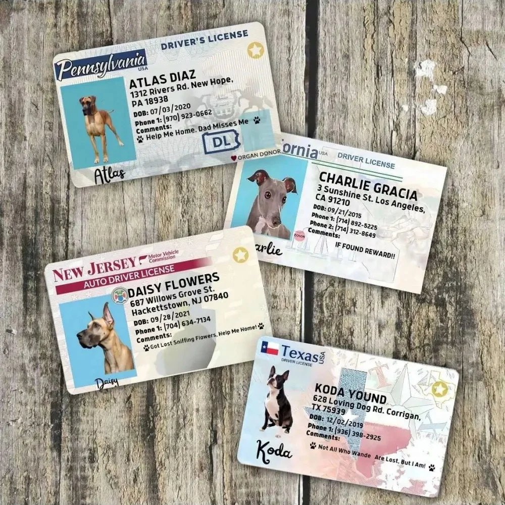 맞춤형 반려견 카드, 반려동물 카드, 개인 맞춤형 반려동물 ID 카드, 반려동물 생일 선물, 완벽한 지갑형 반려동물 카드, 반려동물 선물