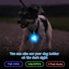 LED Pet Pendant Collar Waterproof Dog Collar Light for Outdoor Walking Safety Silicone LED Dog Collar 2