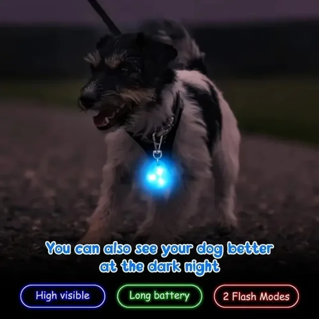 LED Pet Pendant Collar Waterproof Dog Collar Light for Outdoor Walking Safety Silicone LED Dog Collar 2
