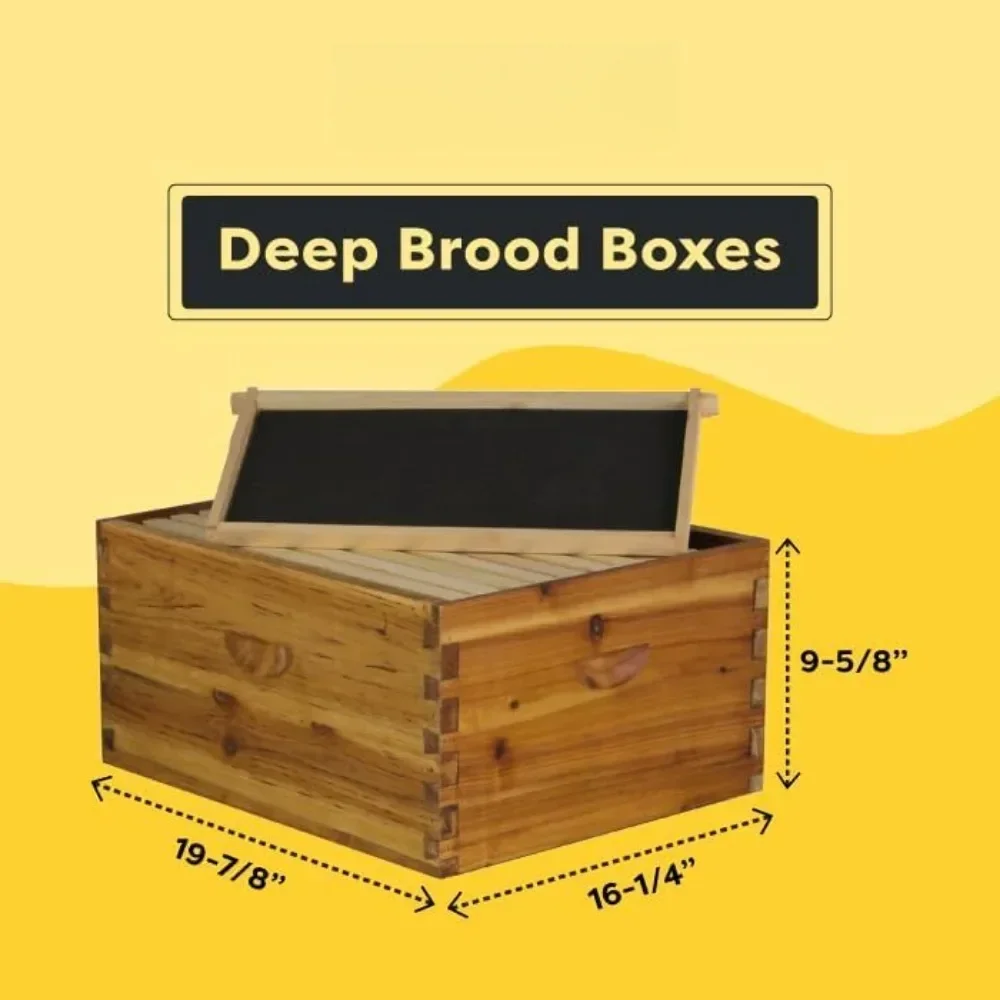 The Original Beeswax Coated Beehive Kit, Includes 2 Deep & 1 Medium Boxes with 10 Wooden Frames & Heavy Wax Coated Foundations