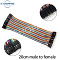 20cm Female-Male
