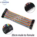 20cm Female-Male
