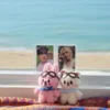 10cm STAY Official Plush Keyring Kpop Hot Idol Felix LeeKnow BangChan Same Style Plush Pilot Keychain Cute Doll Pendant 3