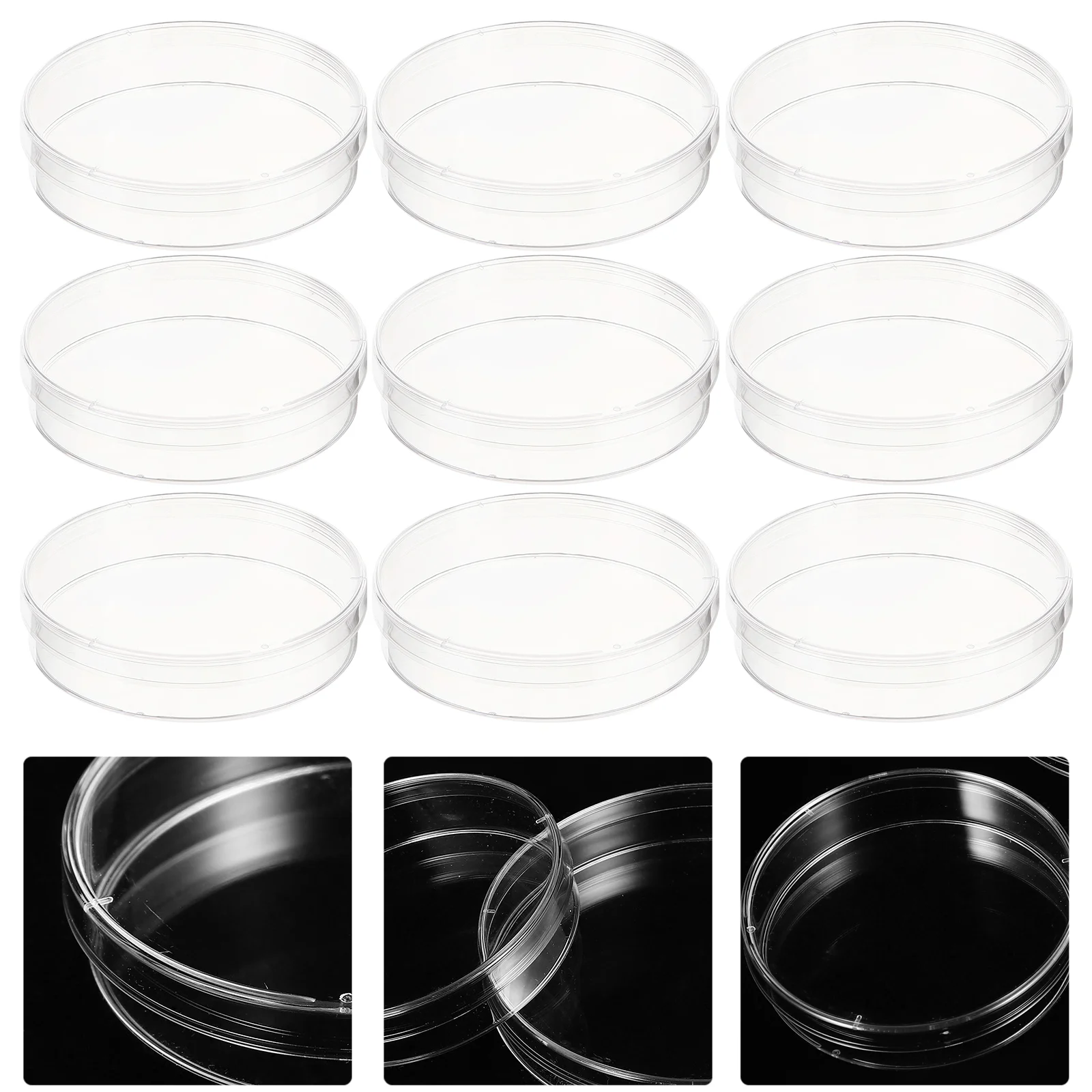 

30 Pcs Culture Plate Petri Dishes Tissue Grid Plastic Plates Agar Chemistry Child