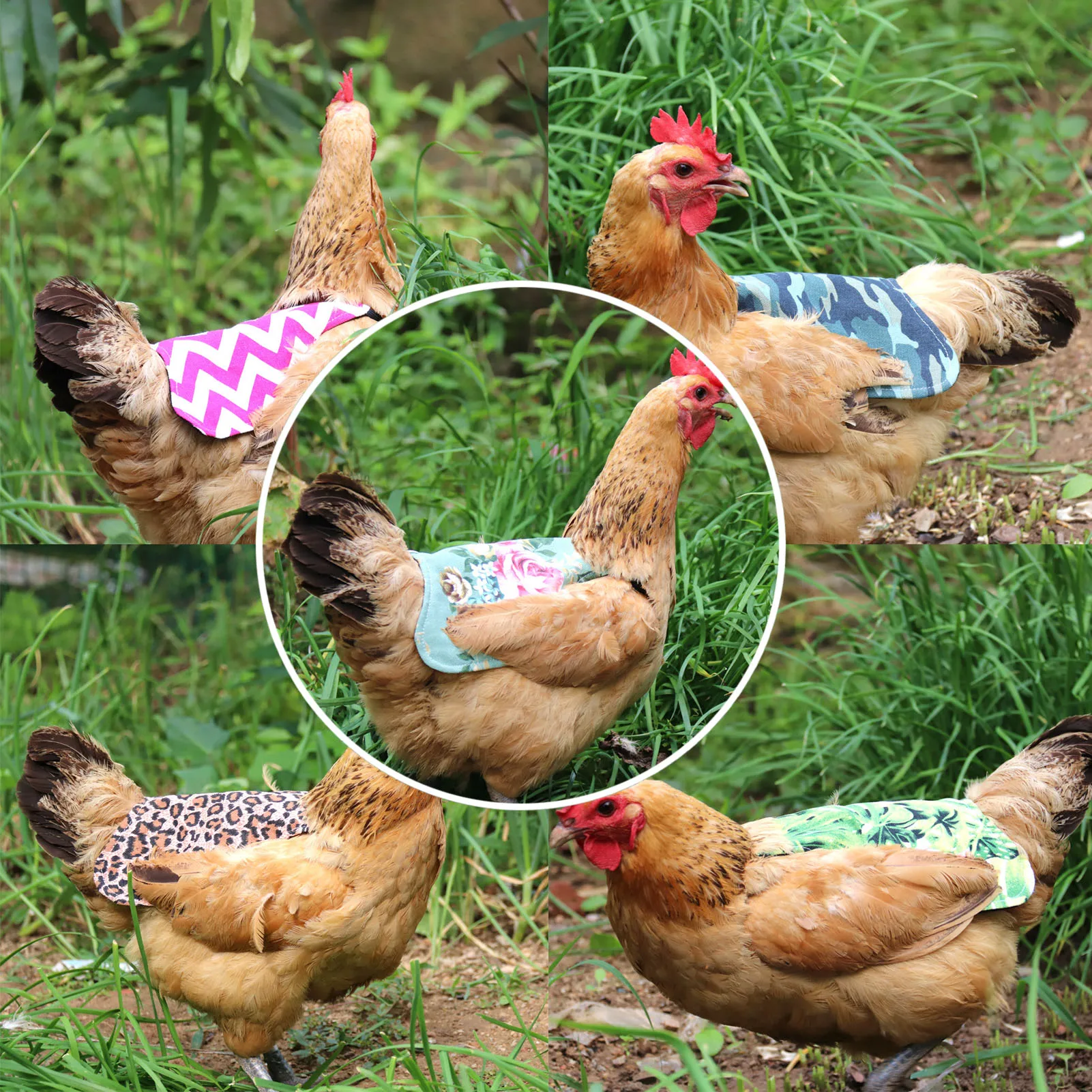 AdjustableChickenVestPetReflectiveVestChickenClothesPoultryHen