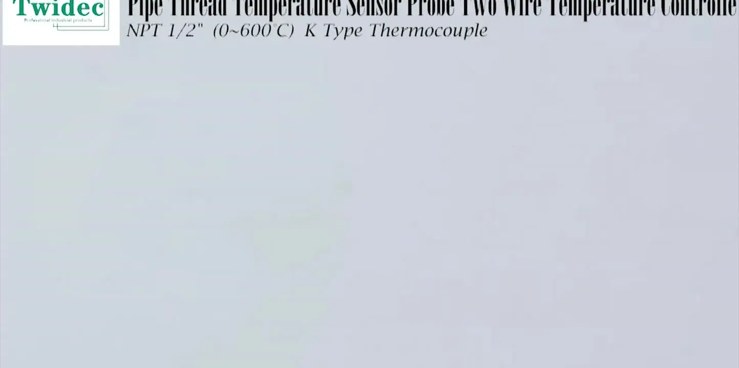 RTD PT100 - Sensore Di Temperatura Con Attacco Filettato NPT 1/2", Con 3 Cavi Da 2 M, Da -50 A - 2