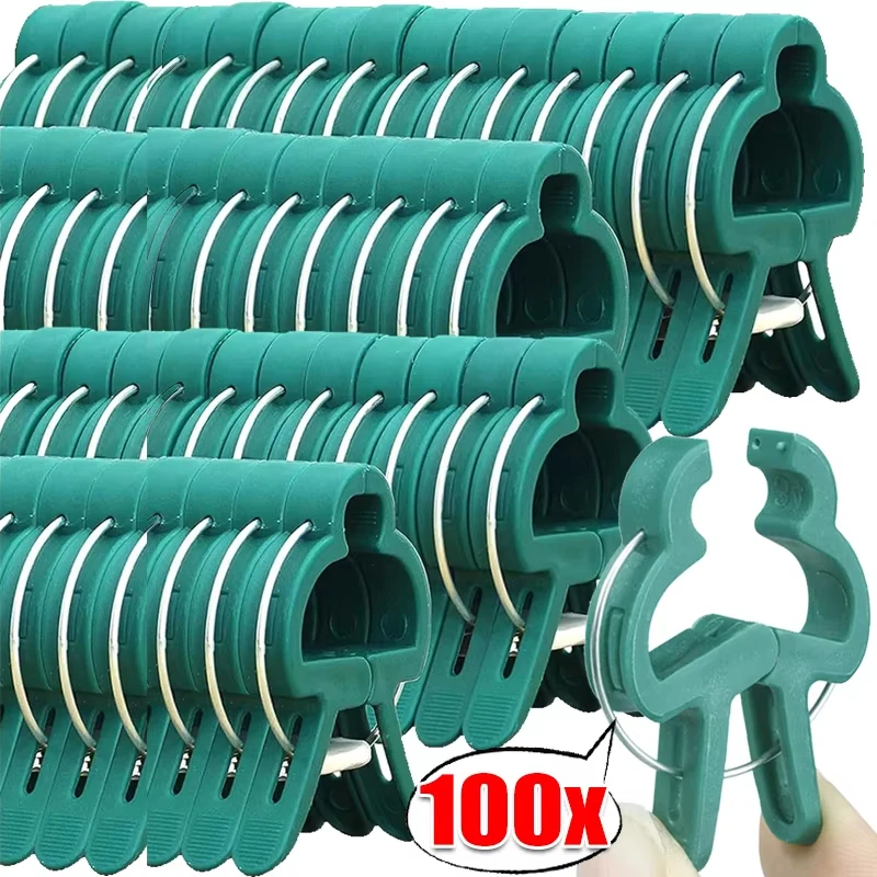 10/100pcs Plant Fixed Clips Reusable Garden Greenhouse Bracket Garden Plants Vine Climbing Clamp Flower Tomato Support Fastener 10/100pcs Plant Fixed Clips Reusable Garden Greenhouse Bracket Garden Plants Vine Climbing Clamp Flower Tomato Support Fastener