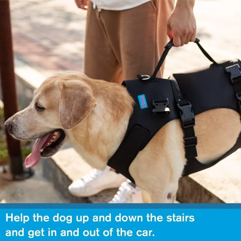 Imbracatura di Sollevamento per Cani con Cinghie Regolabili, Imbottitura Larga per la Pancia, Supporto Completo per il Corpo, Ausilio per la Mobilità, Maniglia di Sostegno, Resistente - immagine 4