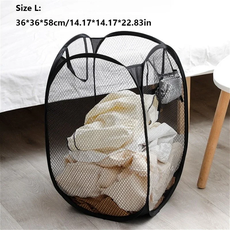 Large Black