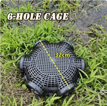 Six Hole Cage
