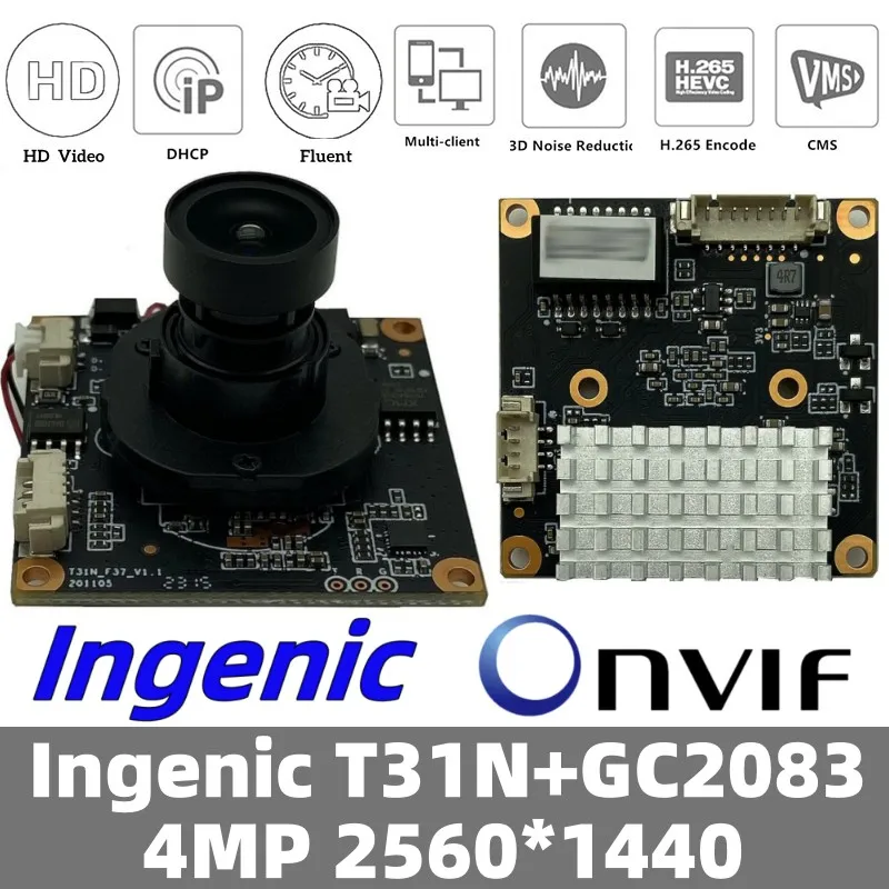 Module Board