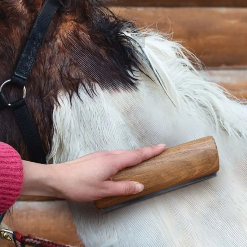 Spazzola Di Finitura In Crine Di Cavallo Vola - Per Lucidare E Preparare Prima Delle Gare - Foto 6