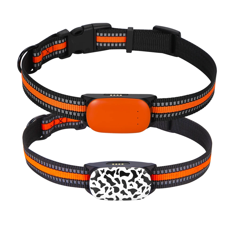 Unhöflich Schrein Alles Gute tracking armband tiere Debatte so tun als