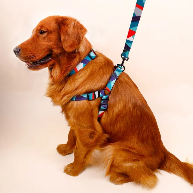 1PC Pet Abstract Chest And harness Set, Dog Webbing Leash, Dog Walking Leash, Dog Collar Three-piece Set 6