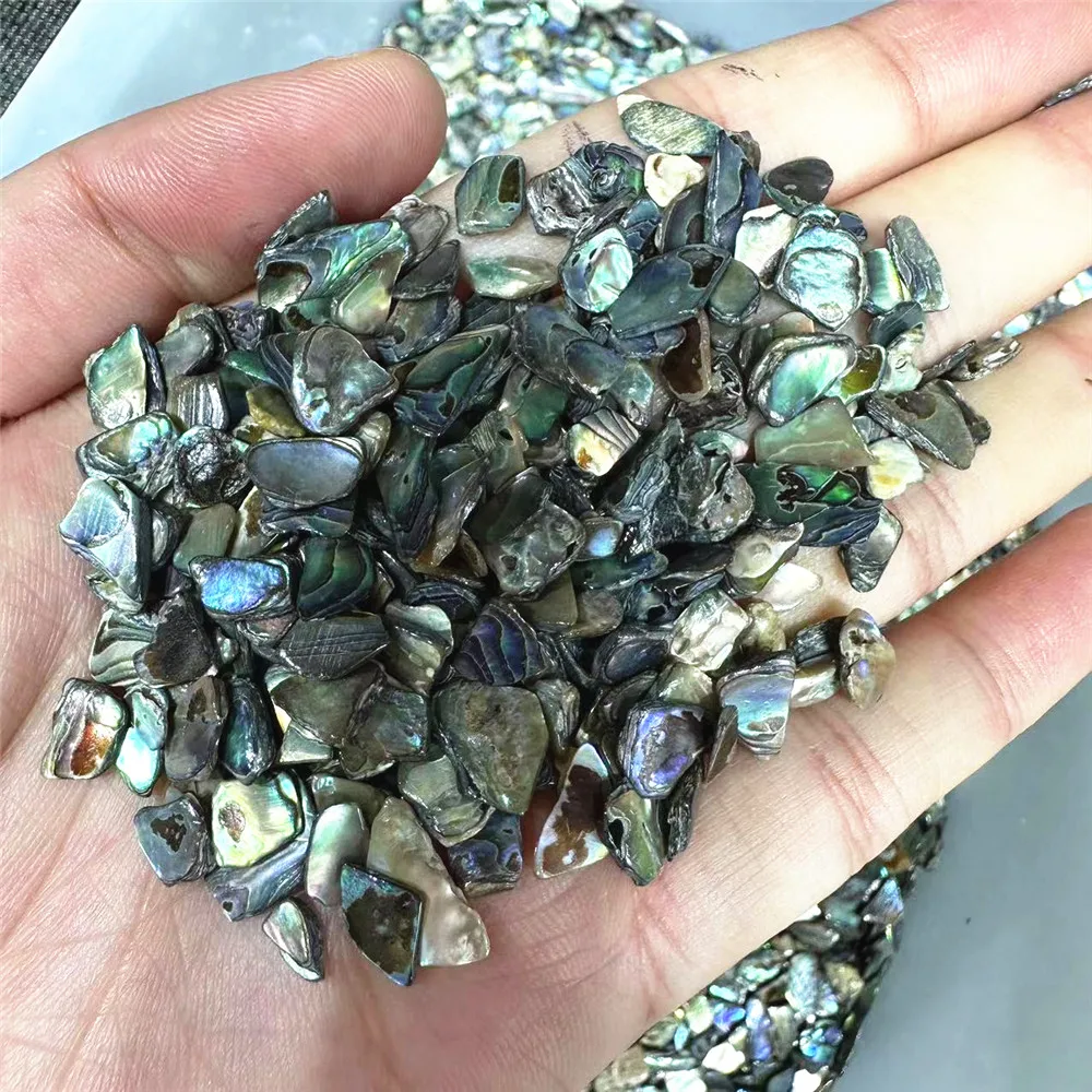 New Arrivals Polished New Zealand Paua Crystals Gravels Healing Stones Bulk Natural Abalone Shell Crystal Chips For Decor 2