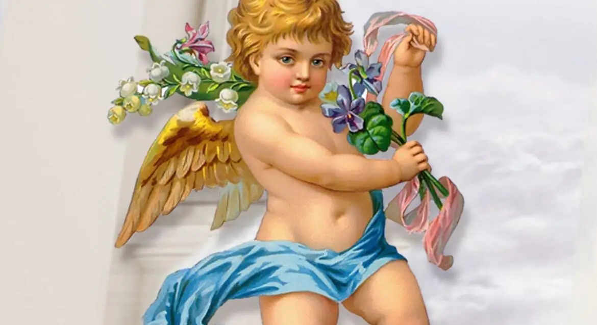 melhorias domésticas