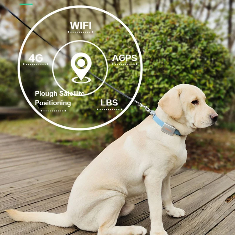 4G WiFi AGPS LBS AI Leather GPS Tracker with Password Lock Pet Dog Cat Tracking Collar Locator Positioning Anti-Lost 2 Way Talk