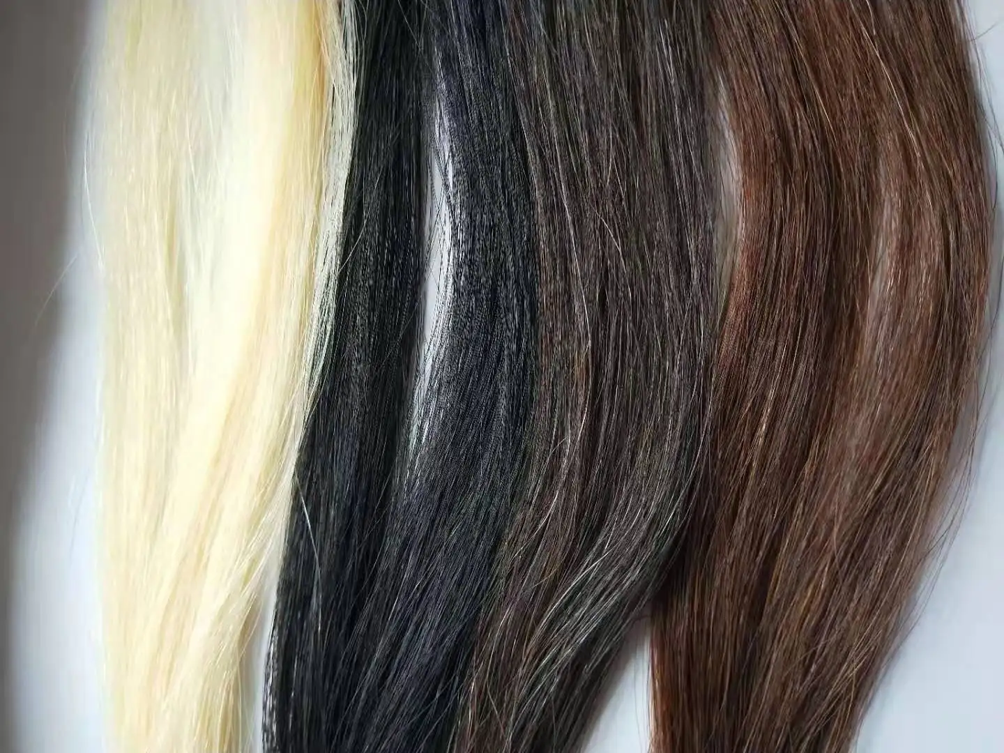 Violin Bow Hair 50 Grams Horse Tail Hair Reall Horse Hair Stallion Tails Black White Brown Horsetails