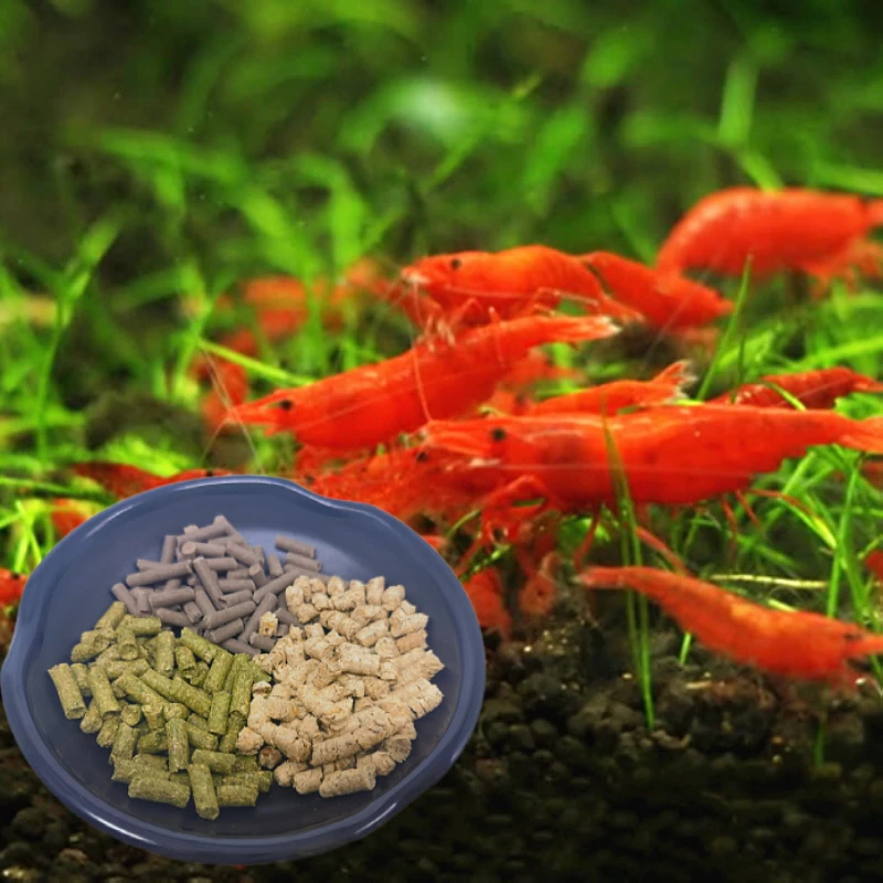 난초 액체 비료제, 화분에 심은 식물 식품 보충제, 식물 뿌리 영양제, 식물 성장 촉진제 보충제, 50ml 