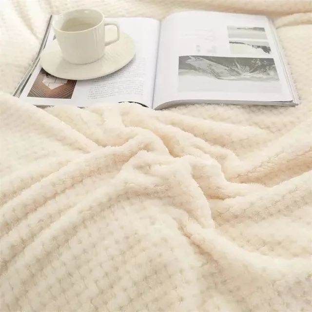 Japan Style Coral Fleece Blankets 300gsm Spring Summer Soft Fluffy Faux Fur Mink Throw Solid Sofa Cover Bedspread Plaid Blankets 3