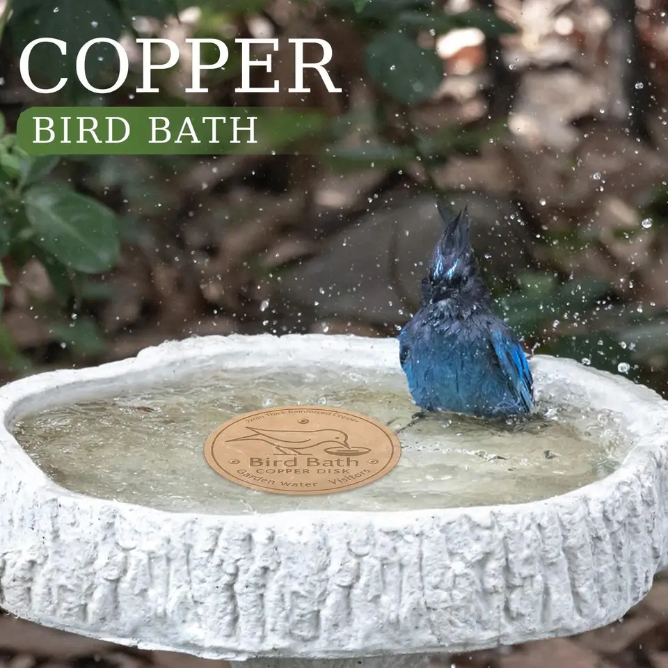 Erva Disque De Purification Pour Bain D'oiseaux En Cuivre – Fabriqué