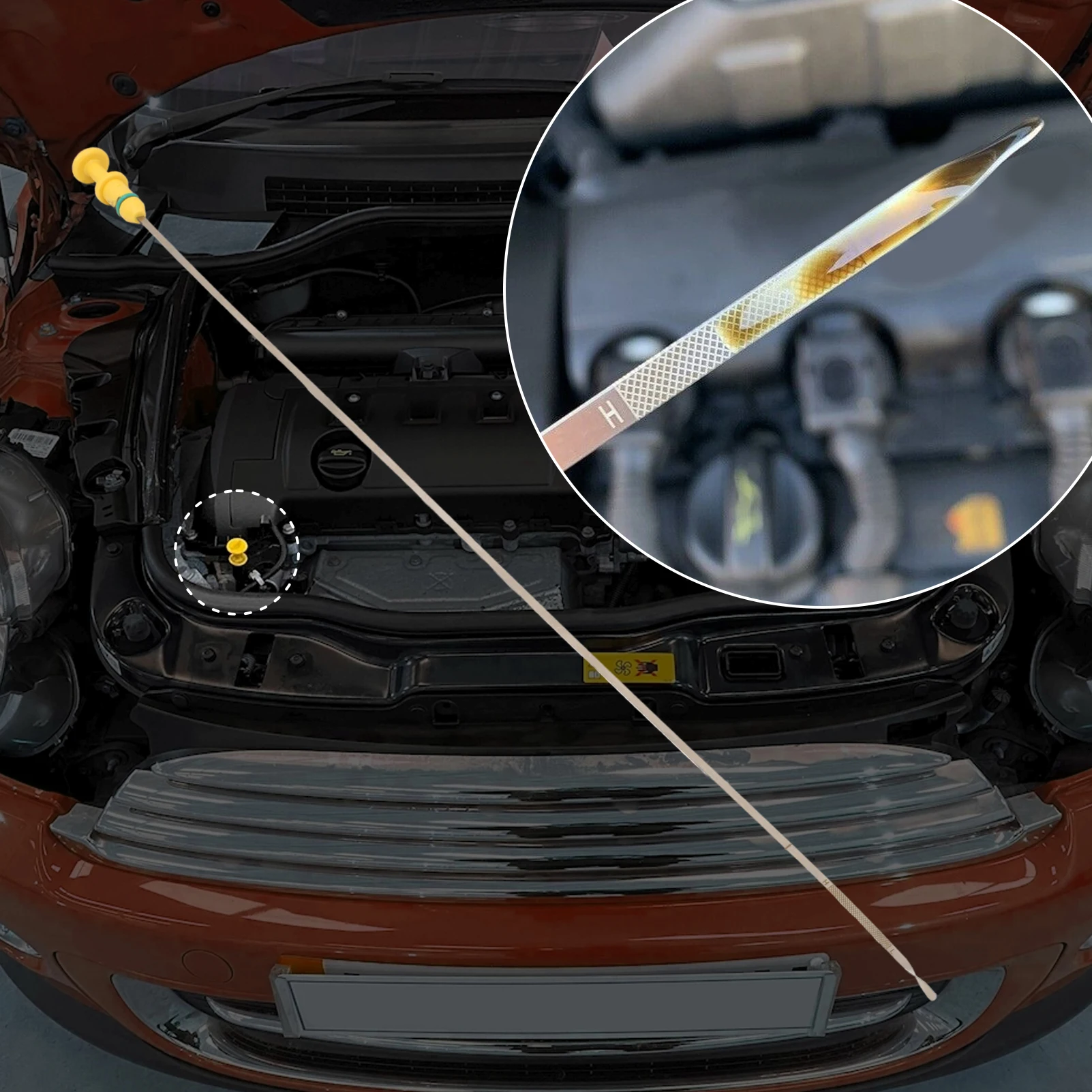 Engine Oil Dipstick Engine Oil Dipstick Compatible with R55 R56 R57 R58 R59 R60 R61 N12 N14 Readable Engine/Transmisson Level Indicator