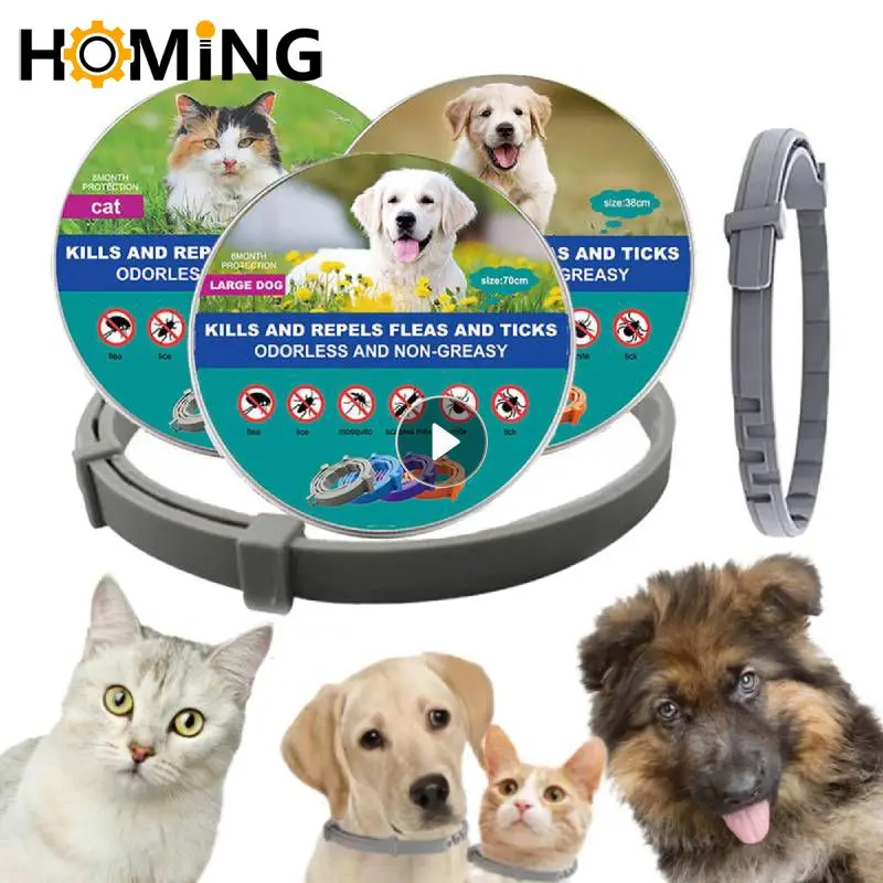 Extendable Pet Flea Collar Antiparasitic Necklace Personalized Anti