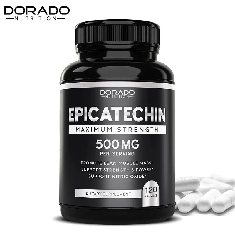 Muscle Supplement Epicatechin Capsules 500 Mg Per Serving (120 Capsules) for Lean Muscle Nitric Oxide Carnosine Inhibitors Endurance for muscle supplement