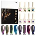 Fk cat eye gel kit
