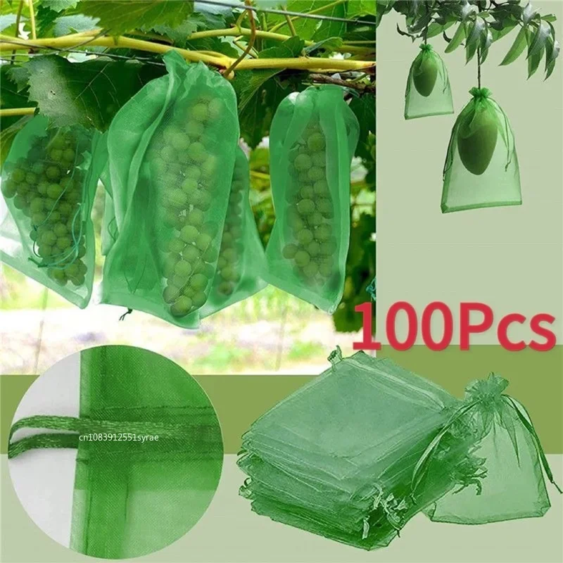 ITMNMNL Sac Protection Fruits 100 Pièces Sachet Protection Raisin