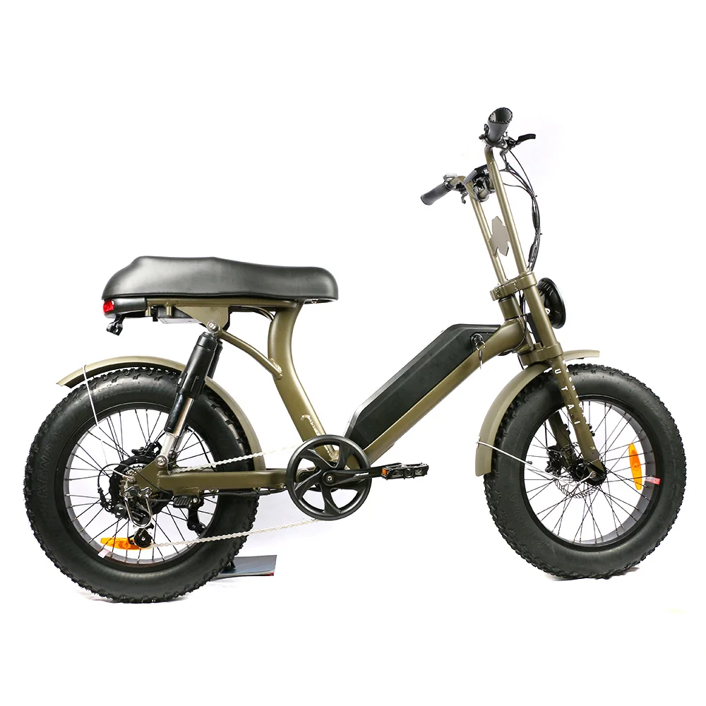 48V 250w Rear Hub Motor with 13ah Lithium Battery Dirt Bike 450cc Off-road Motorcycles E-bike 1000w Electric Bike Bafang