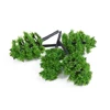 10pcs 5cm HO OO Scale Model Trees Train Railroad Layout Diorama Wargame Park Scenery Miniature Tree Landscape Decoration 4