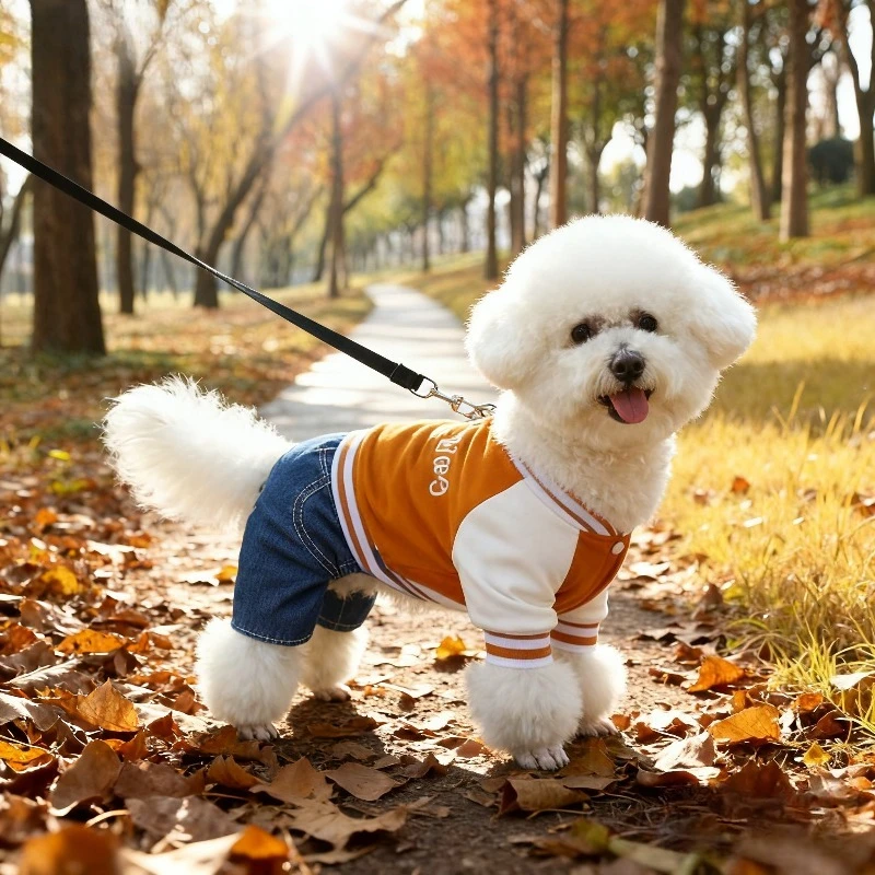 애완동물 점프수트 소형견 치와와 테디견 편안한 의류 강아지 스포츠복 봄 가을 카우보이 애완동물 코트 용품