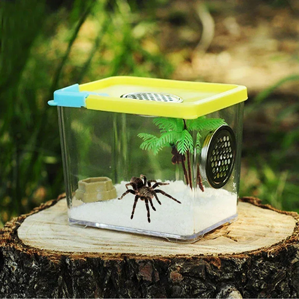 Transparent Acrylic Breeding Box 2