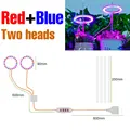 2 Head Red Blue