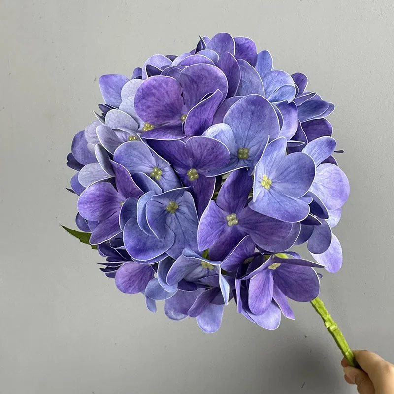 Purple Blue