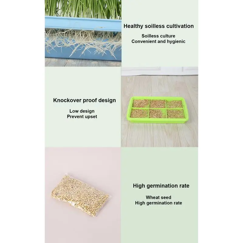 Nursery Tray For Plants Seedling Germination Soil-less Cultivation Tray Microgreens Plant Propagation Trays Healthy Wheatgrass 5