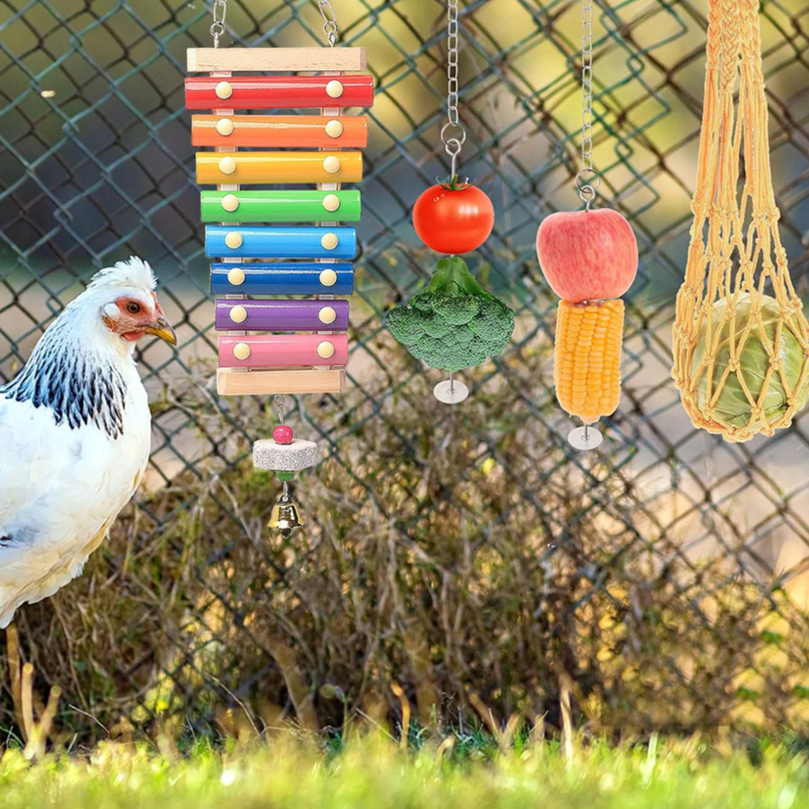 Wooden Chicken Toy Set with Hanging Feeder for Parakeet