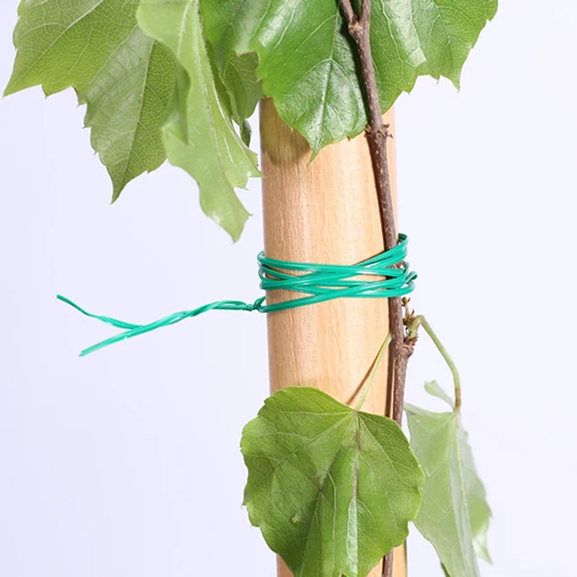 Kertészet Rögzített Huzal Zöldségkötő Zsineg Üzemanyag Típus Paradicsom Kapcsok Trellis Garden Szőlővel Kötött Kábelgyár Rögzítő Klipek - Image 4