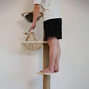 cat tree tower