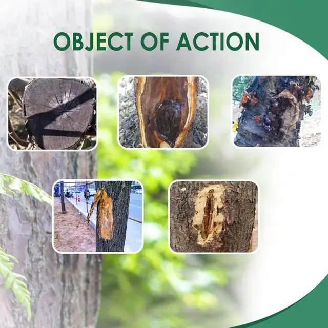 Fa Sebjavító Metsző Tömítés A Bonsai Ág Metszőhöz 500 G Sebgyógyító Paszta Kefével - Image 5