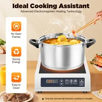 Коммерческая индукционная варочная панель, мощная горелка для ресторана, гостиницы, домашняя кухонная кастрюля, совместимая с магнитным дном 4,72-11,81 дюйма — изображение 4