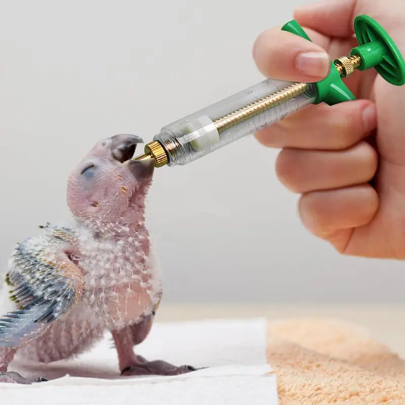 Manual Parrot Milk Feeding Syringe Baby Birds Feeding Injector Kit With Soft Hose And Spoons for Pigeons Bird Feeders Supplies