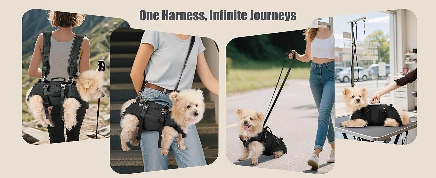 Dog Lift Harness